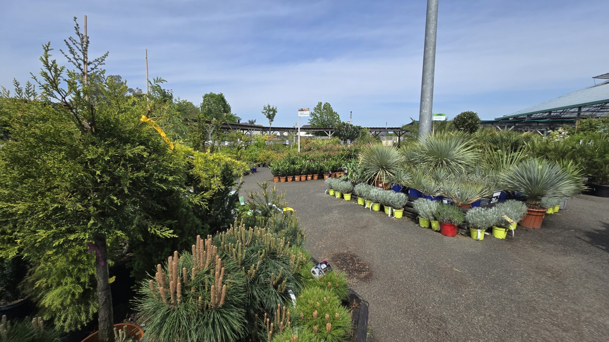 Jacques Briant Plantes